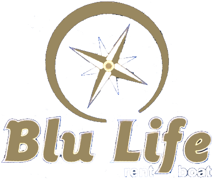 logo blu life