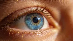 Ginnastica per gli occhi: 5 tecniche per una vista nitida e per prevenire l'affaticamento