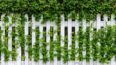 Cosa mettere al posto della recinzione: le migliori piante a crescita rapida per una siepe